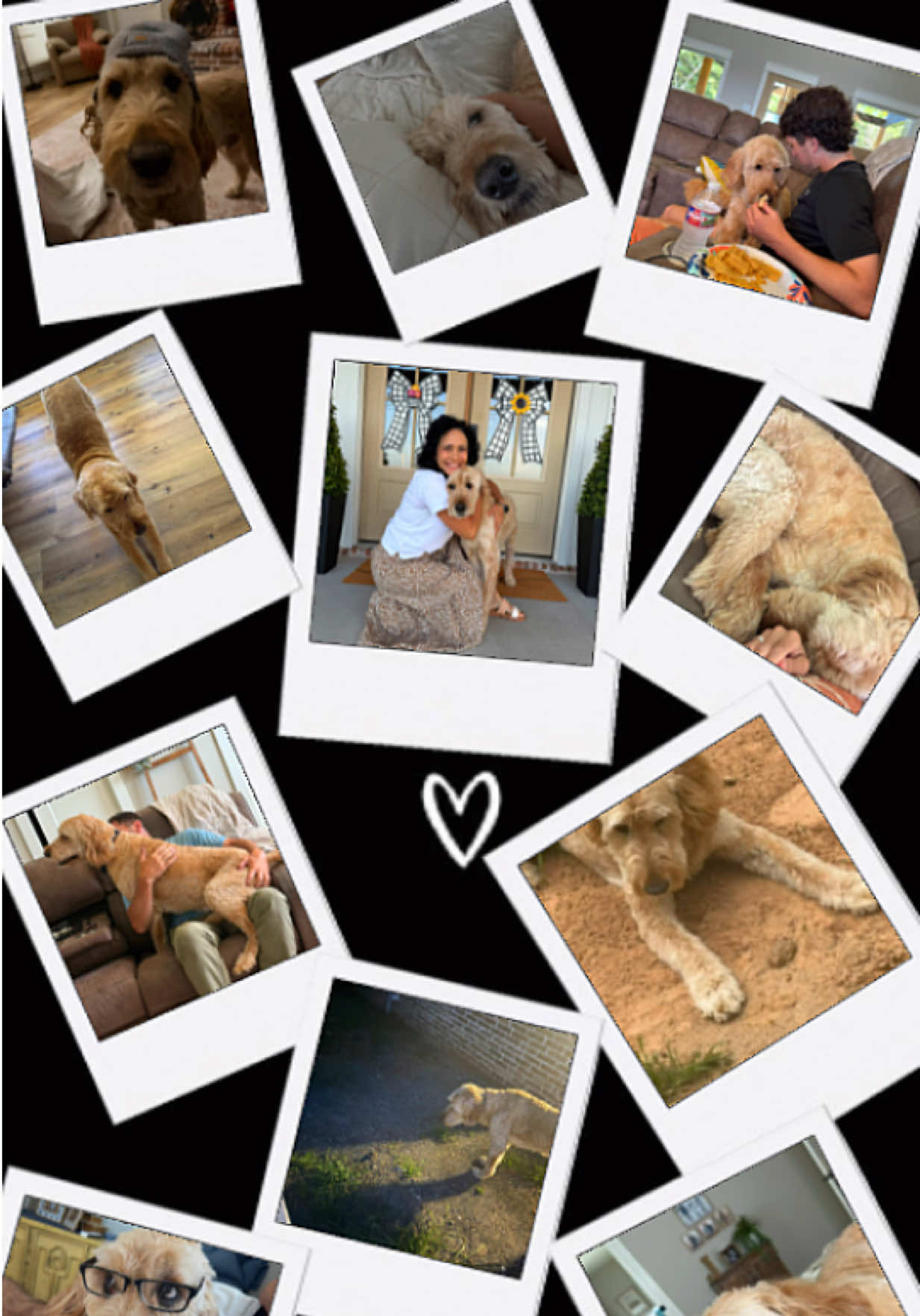 @Jill | tidytrendy Home + Style