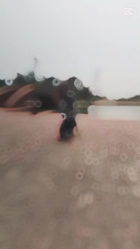 @彡★🆁🅾🆈🅰🅻✘🆈🅰🅳🅰🆅★彡