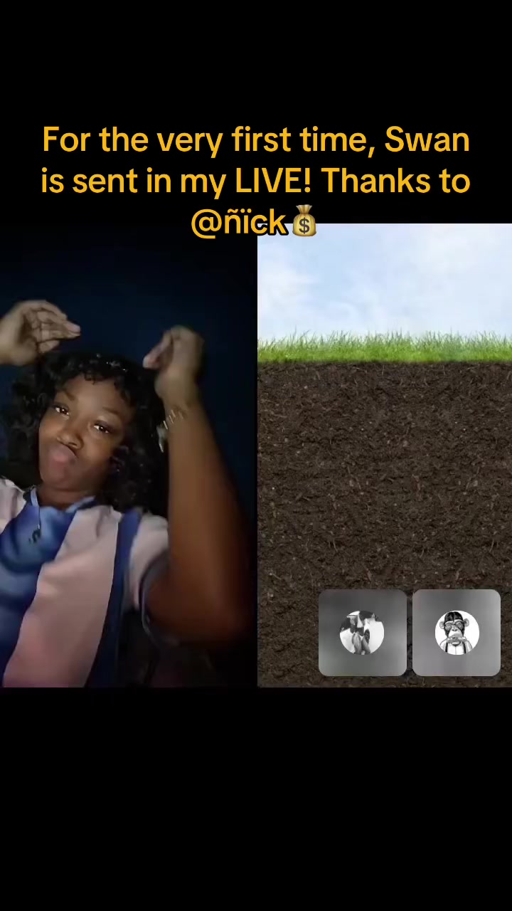 @toyasparadise