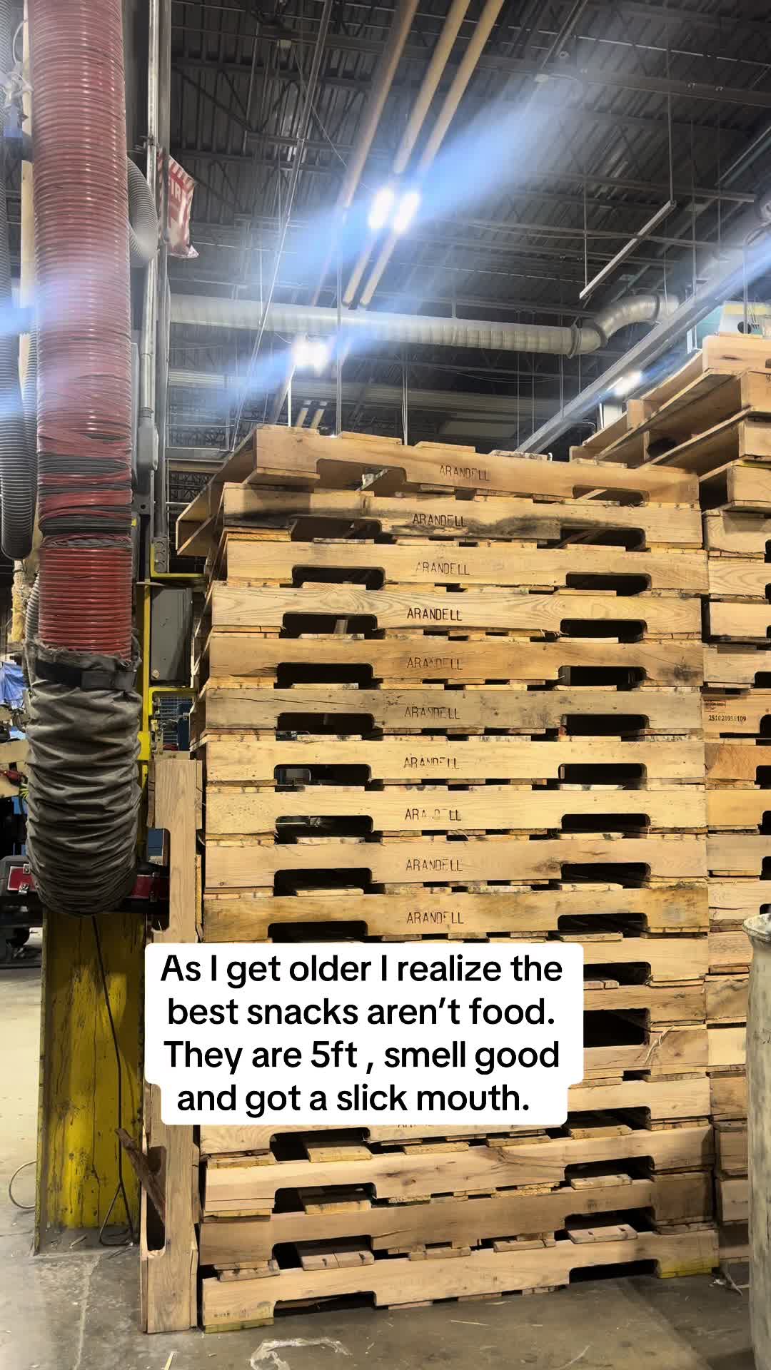 @mychaoticmindset