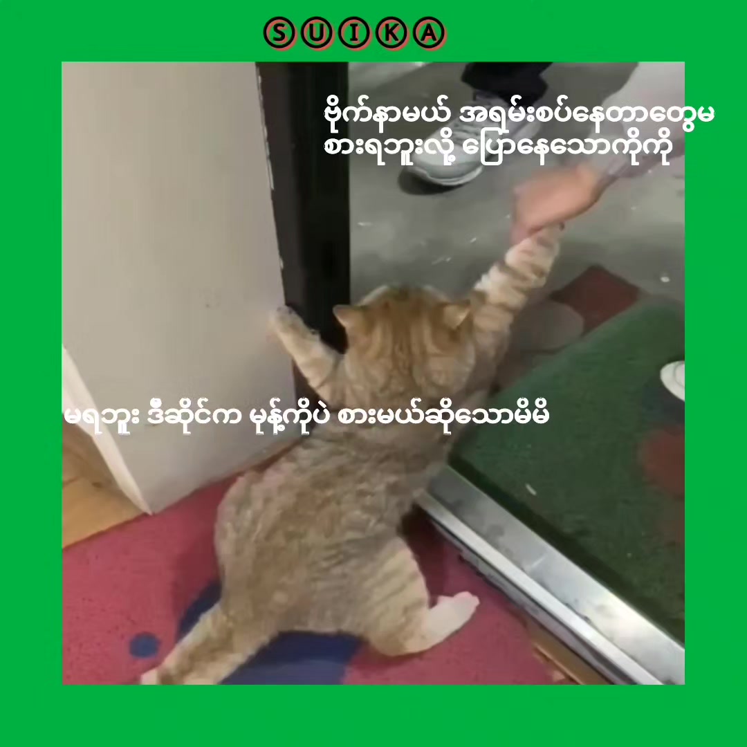 @Ⓢⓤⓘⓚⓐ