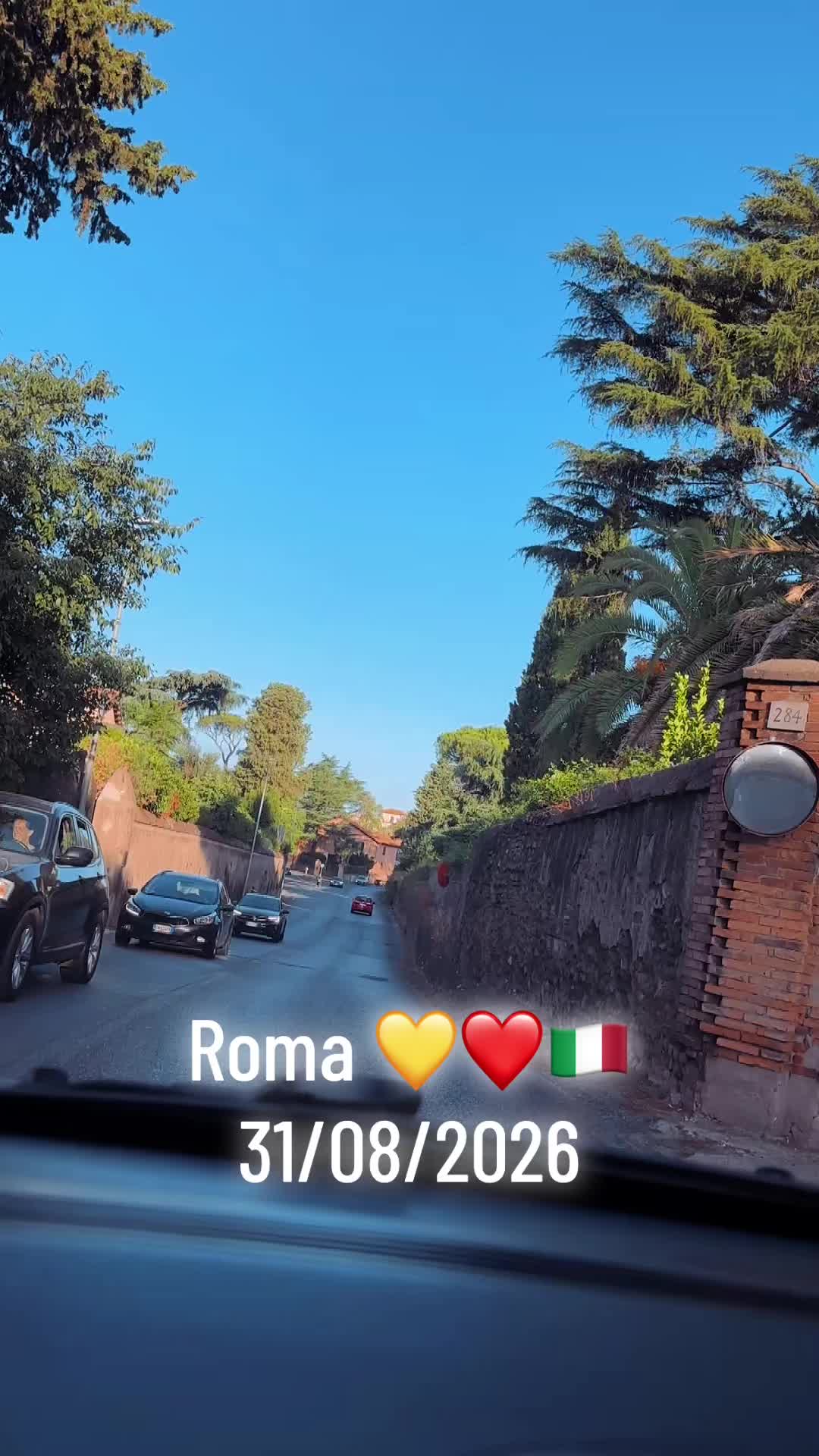 @♥️🐾💛Nina Barboncino ♥️🐾💛