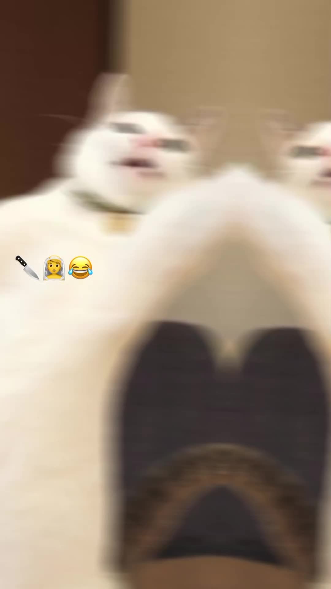 @๐๐ถ๐๐๐น๐๐ท๐๐๐๐ซด๐ป