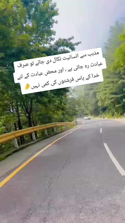 @*꧁༺ گوندل زادی ༻꧂*