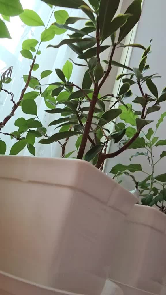 @법무사