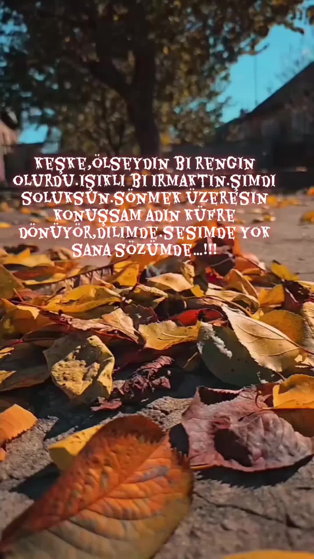@Buzbeyi