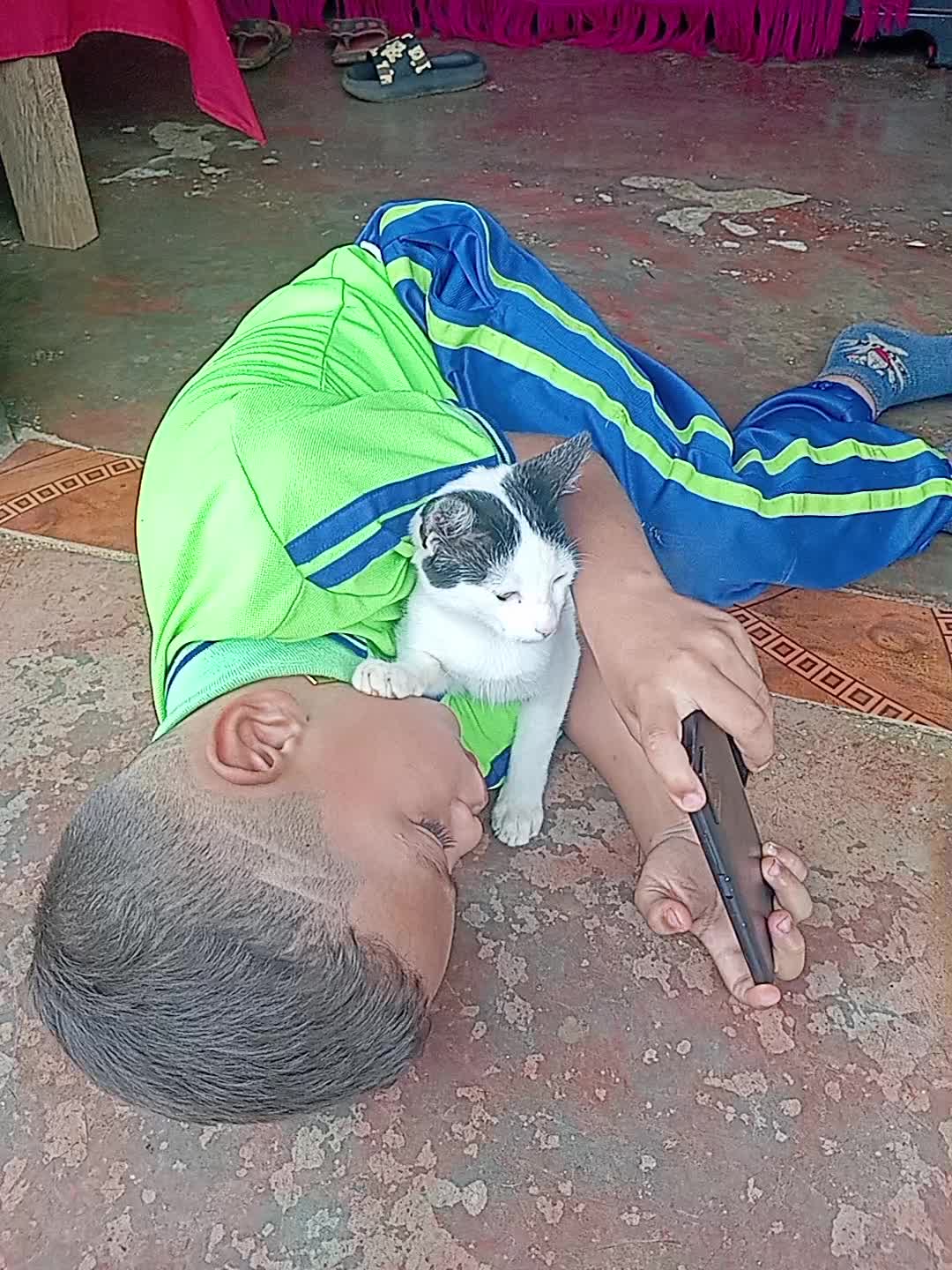 @user24478444735