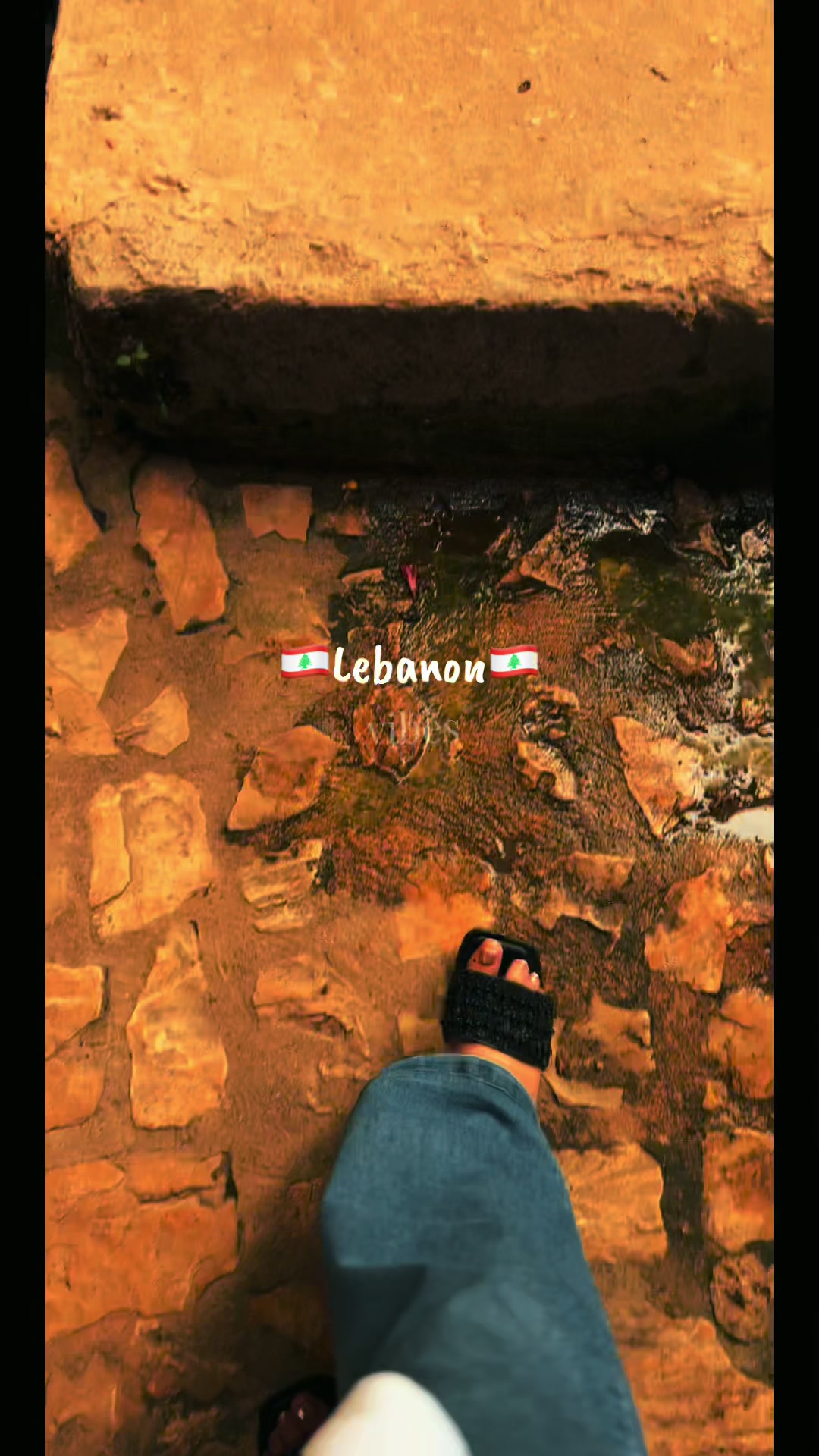 @༊෴✿سہارة✿〄