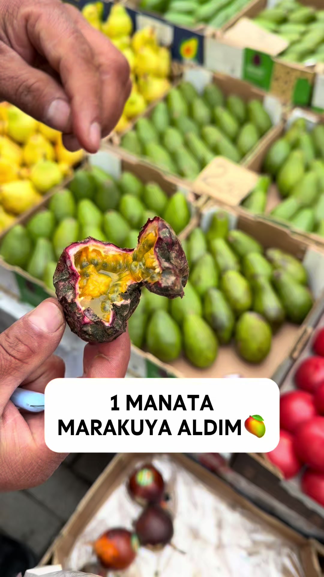 @Maskalı