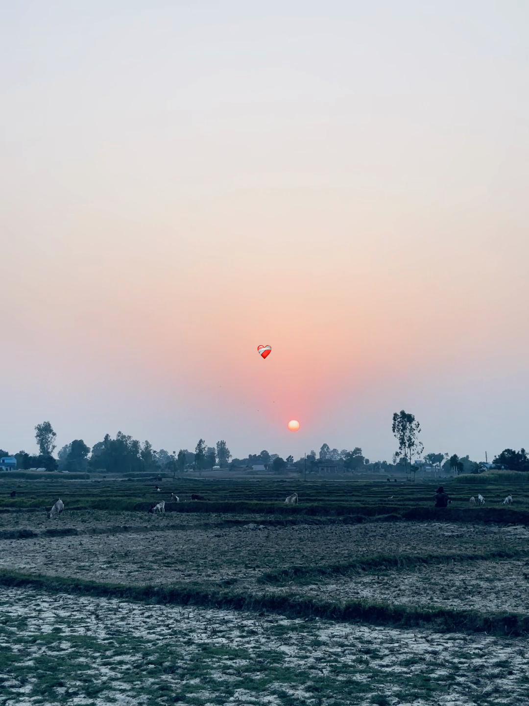 @नबिन 