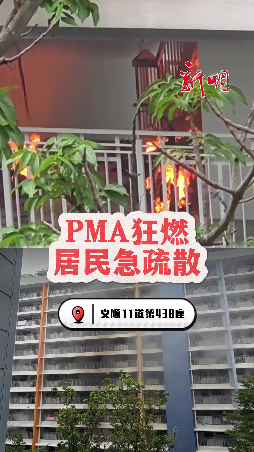 @新明日报