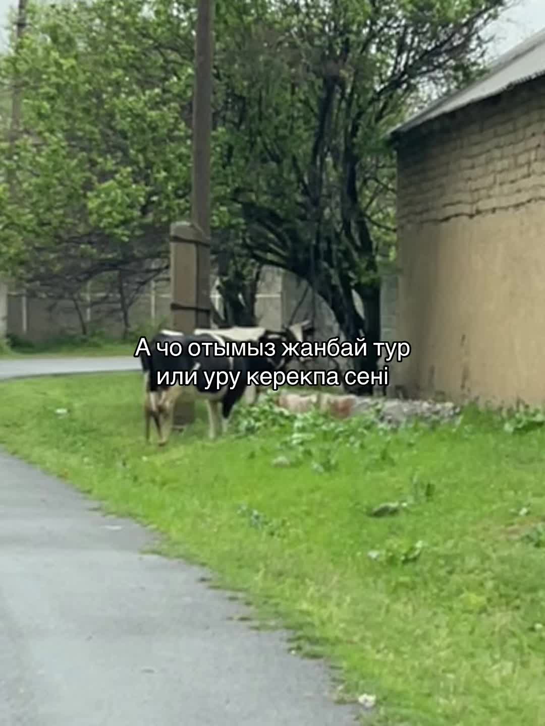 @𝓝/𝓙