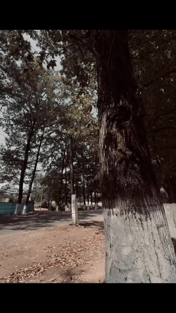 @𝑬𝒍𝒊𝒊⚡️