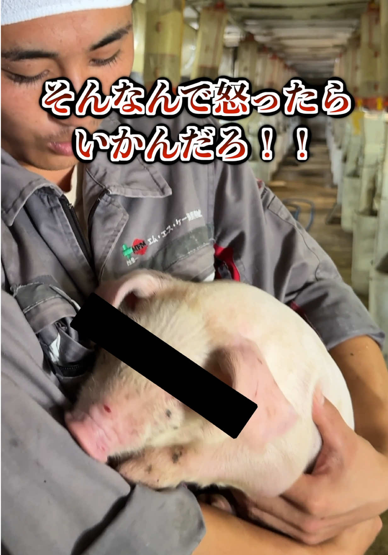 @小野友也ブタのお兄さん『命の恵』