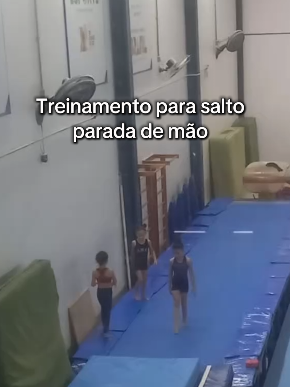 @Sophia Oliveira