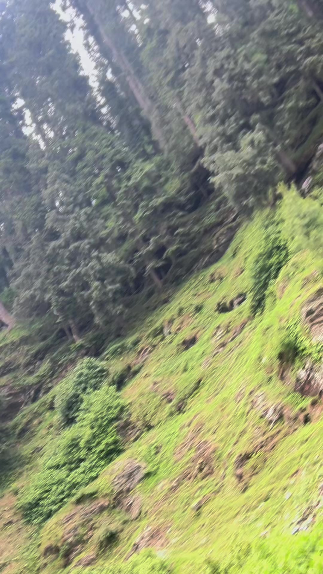 @غالب