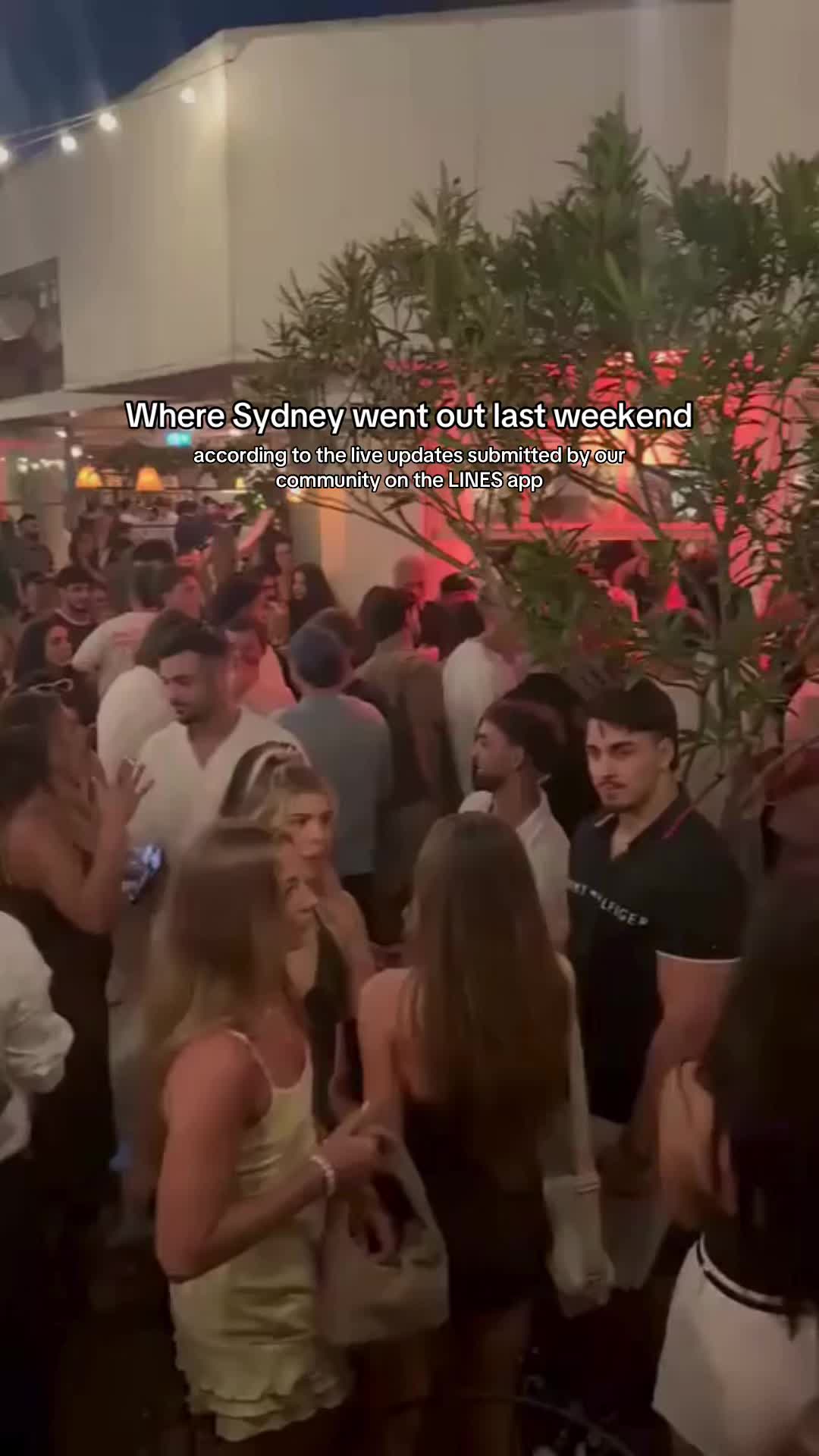 @Bondi Lines