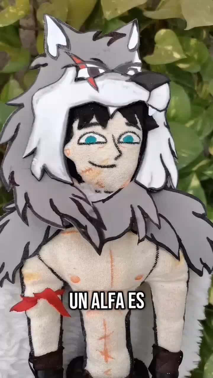 @campistanoaceptado