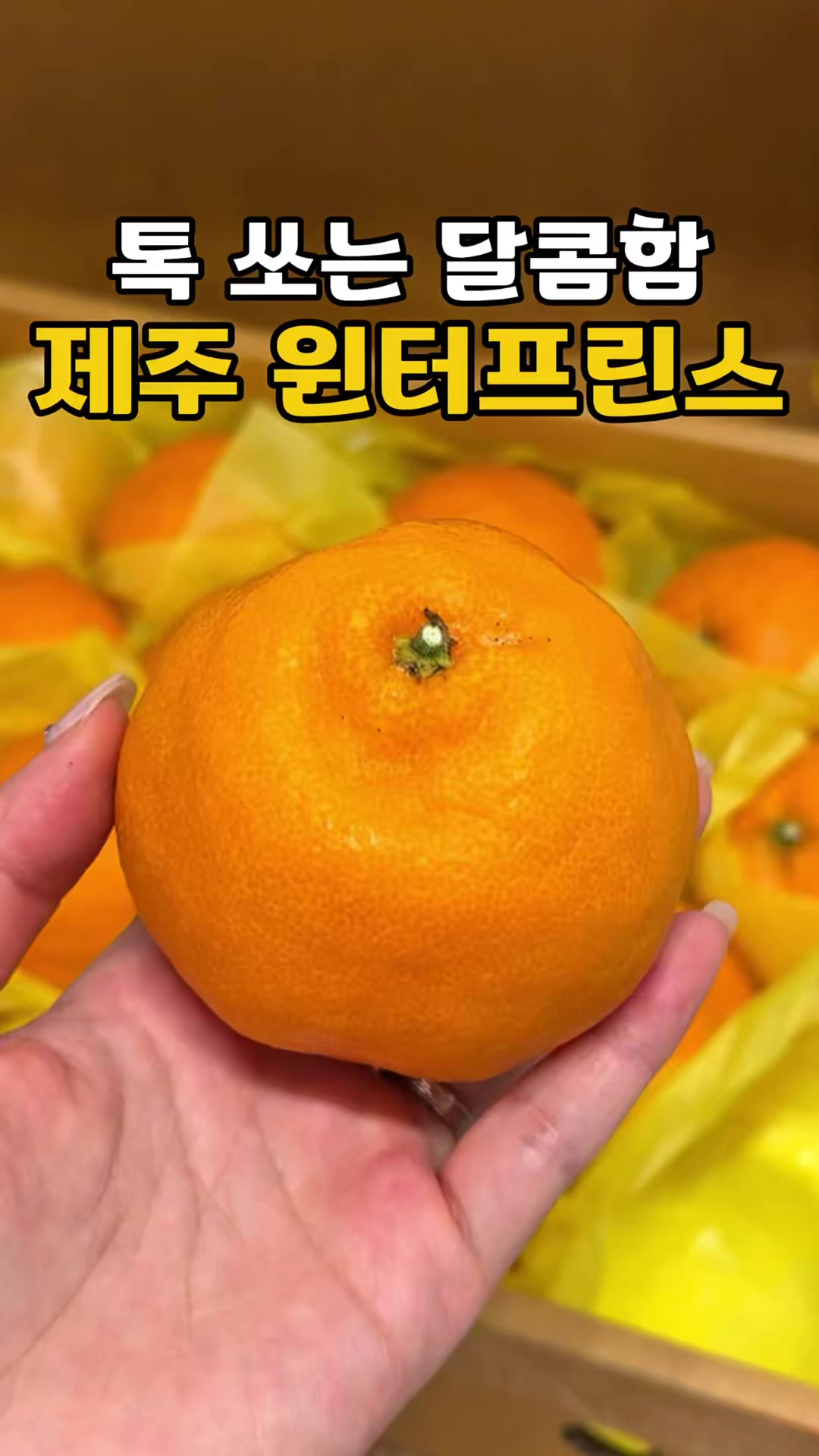@싱싱햇 - 365일 싱싱한 햇 제철 먹거리