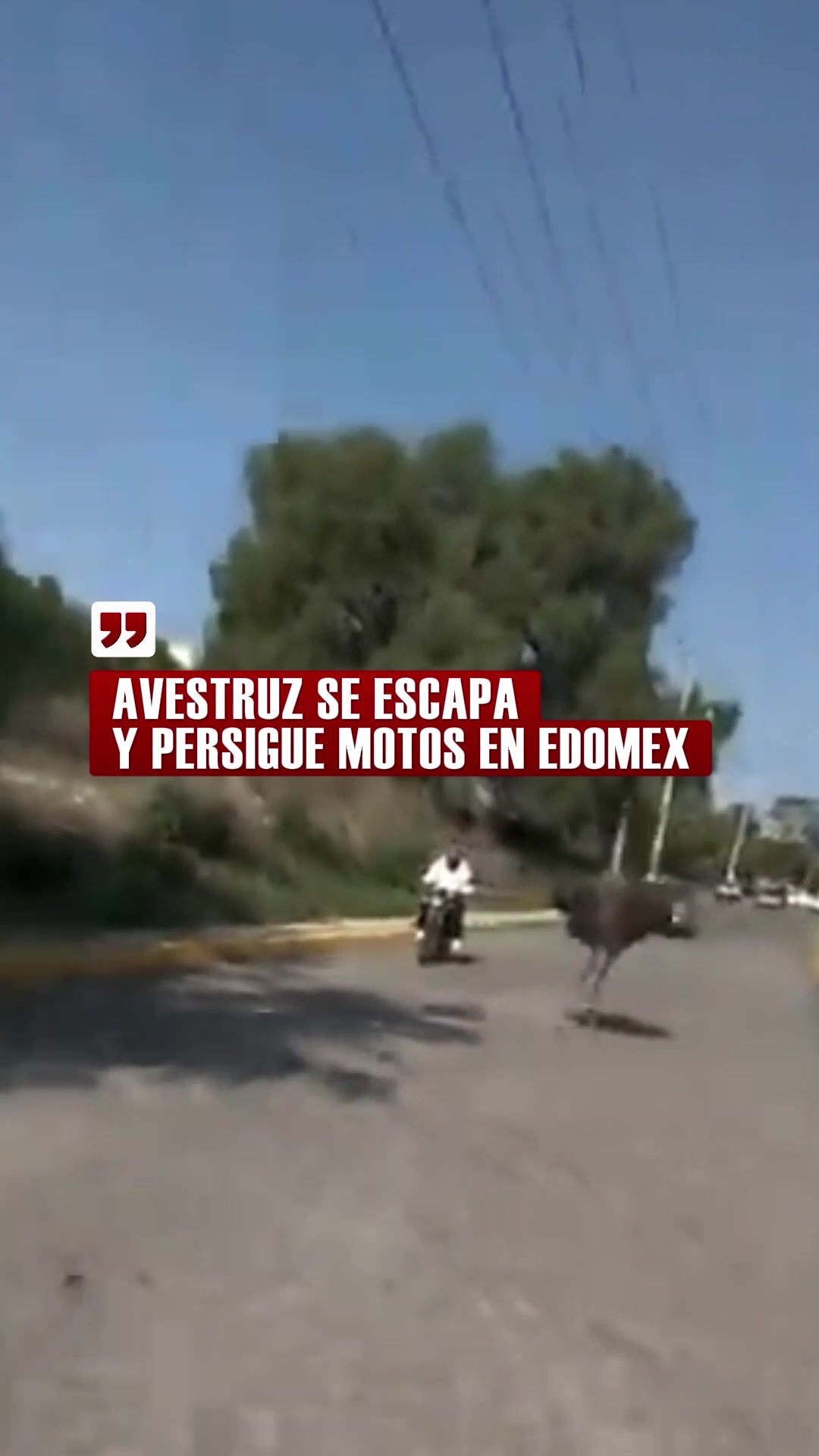 @lvn_noticias