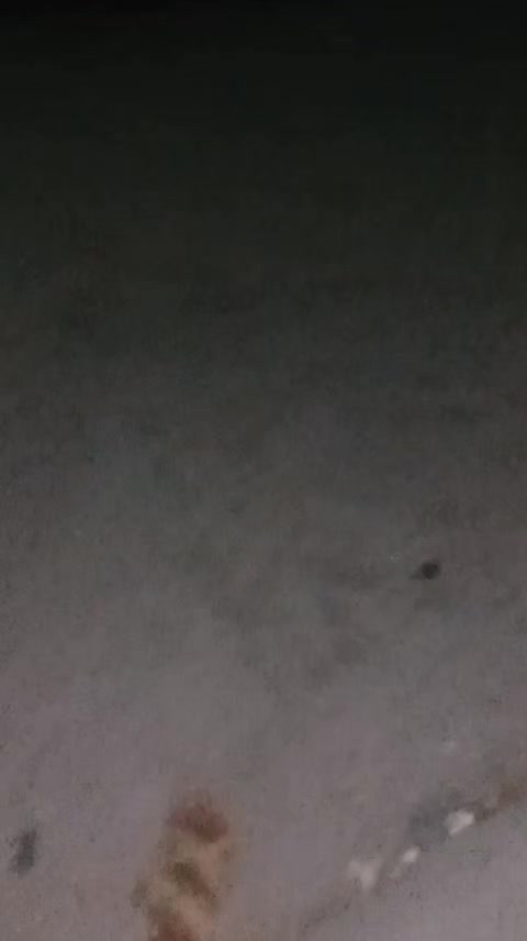 @salmanbalochi69