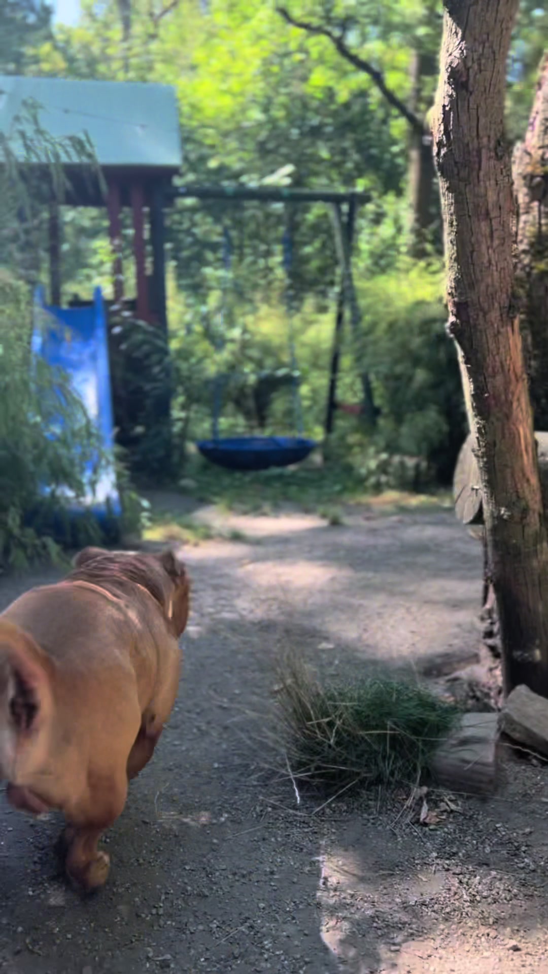 @Hunde- und Katzenpension