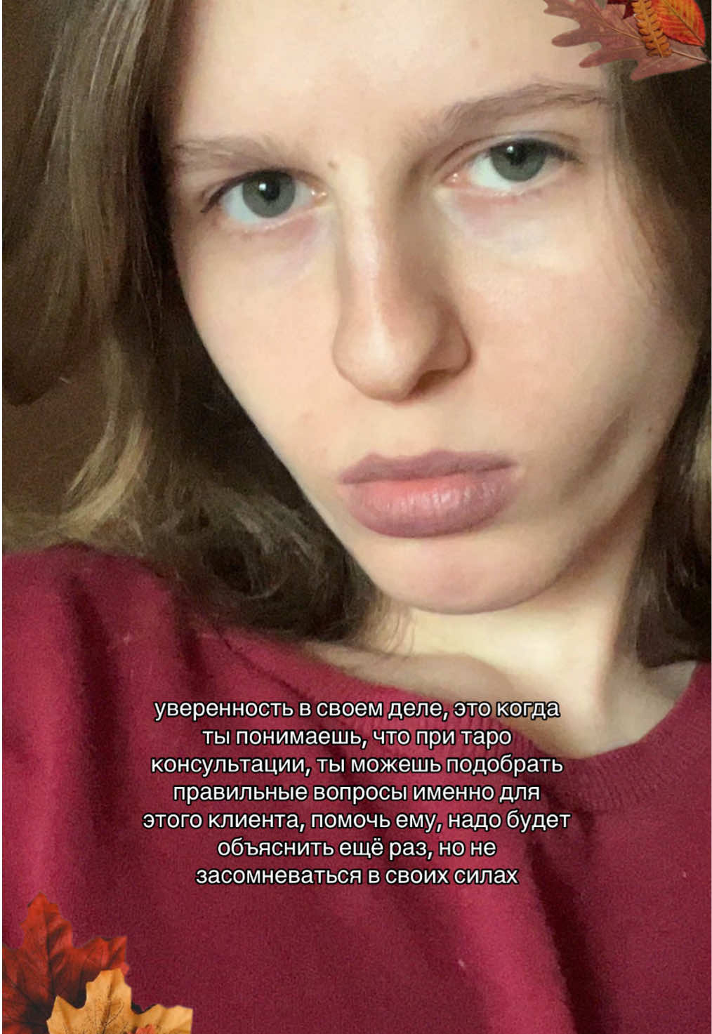 @velitarot