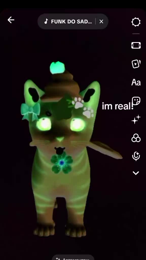 @Kitty🏵️