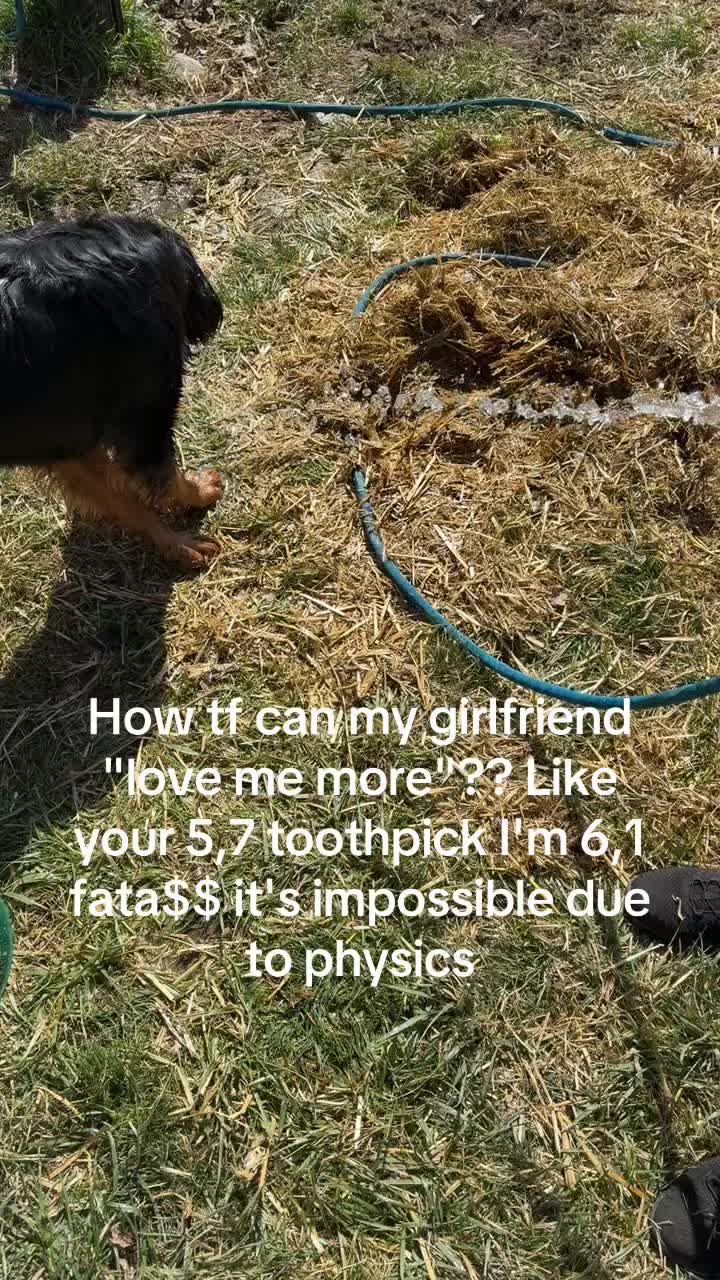 @mclean406._