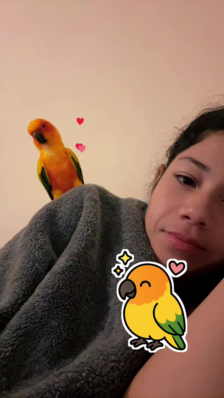 @Suncheepo🦜