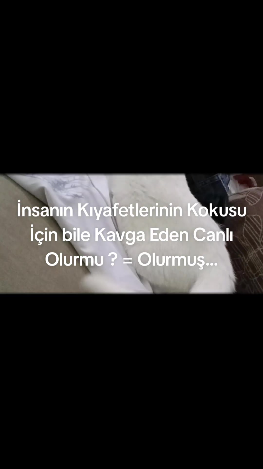 @Emrah &Ccedil;evik