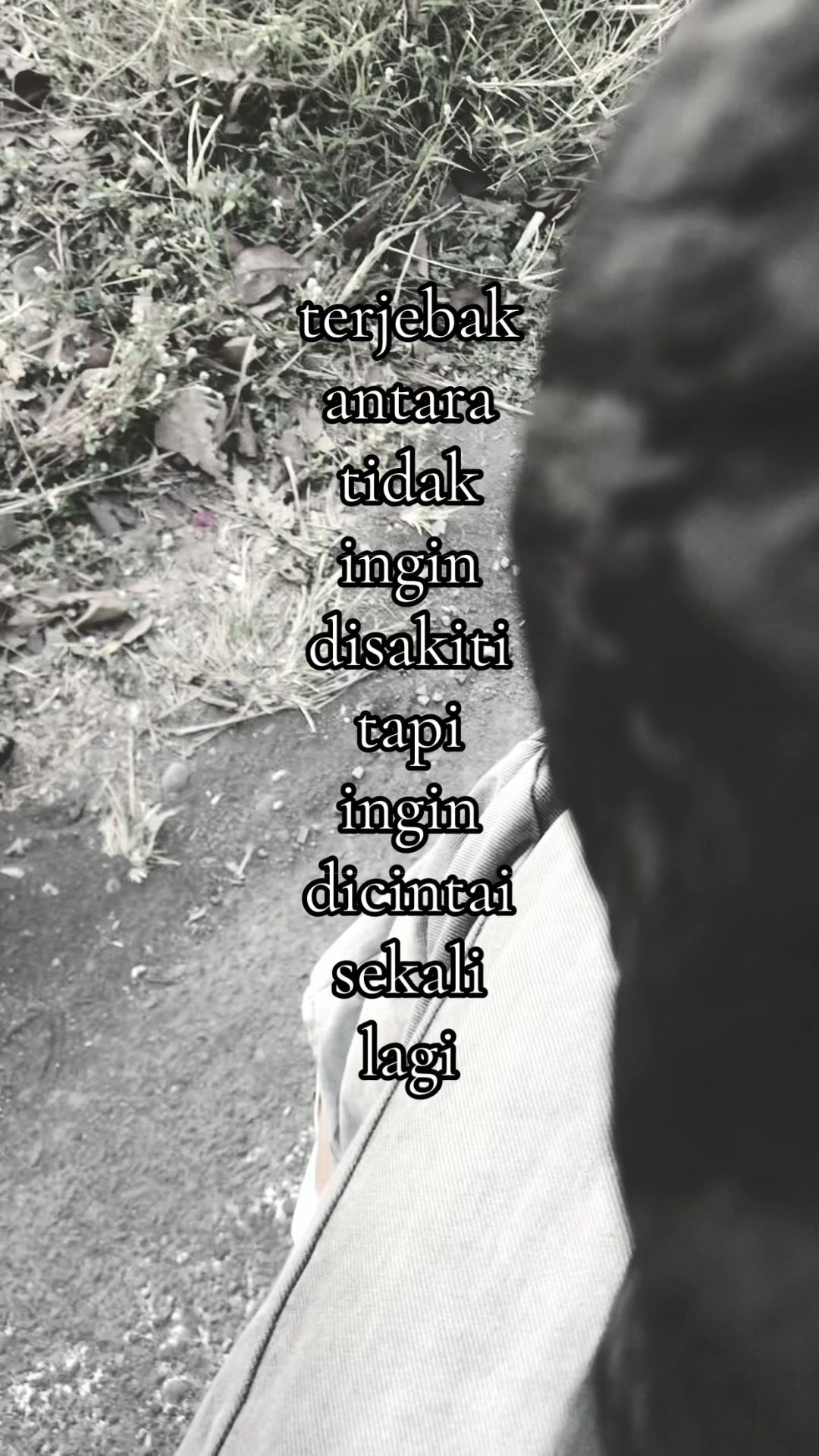@ya•ya