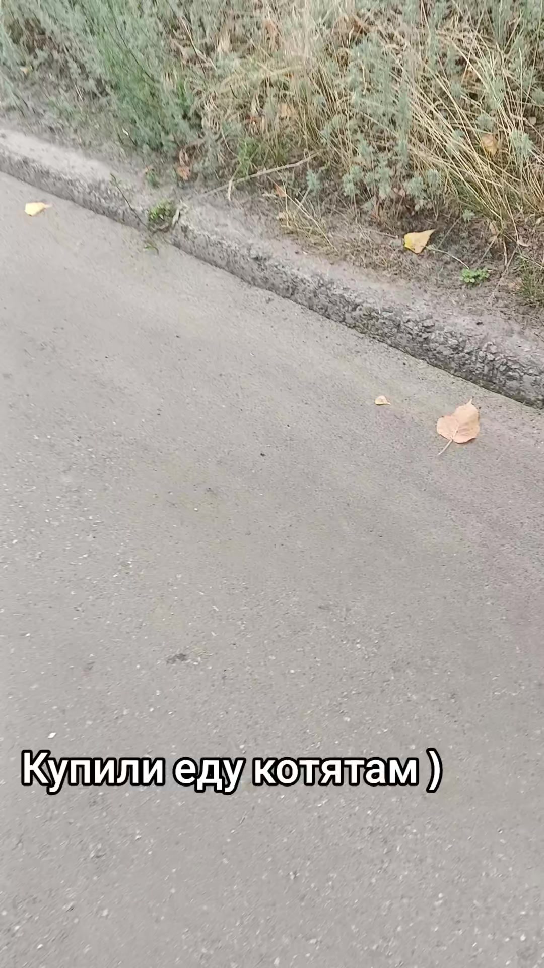 @ℭ𝔥𝔲𝔩𝔦𝔞𝔩❀
