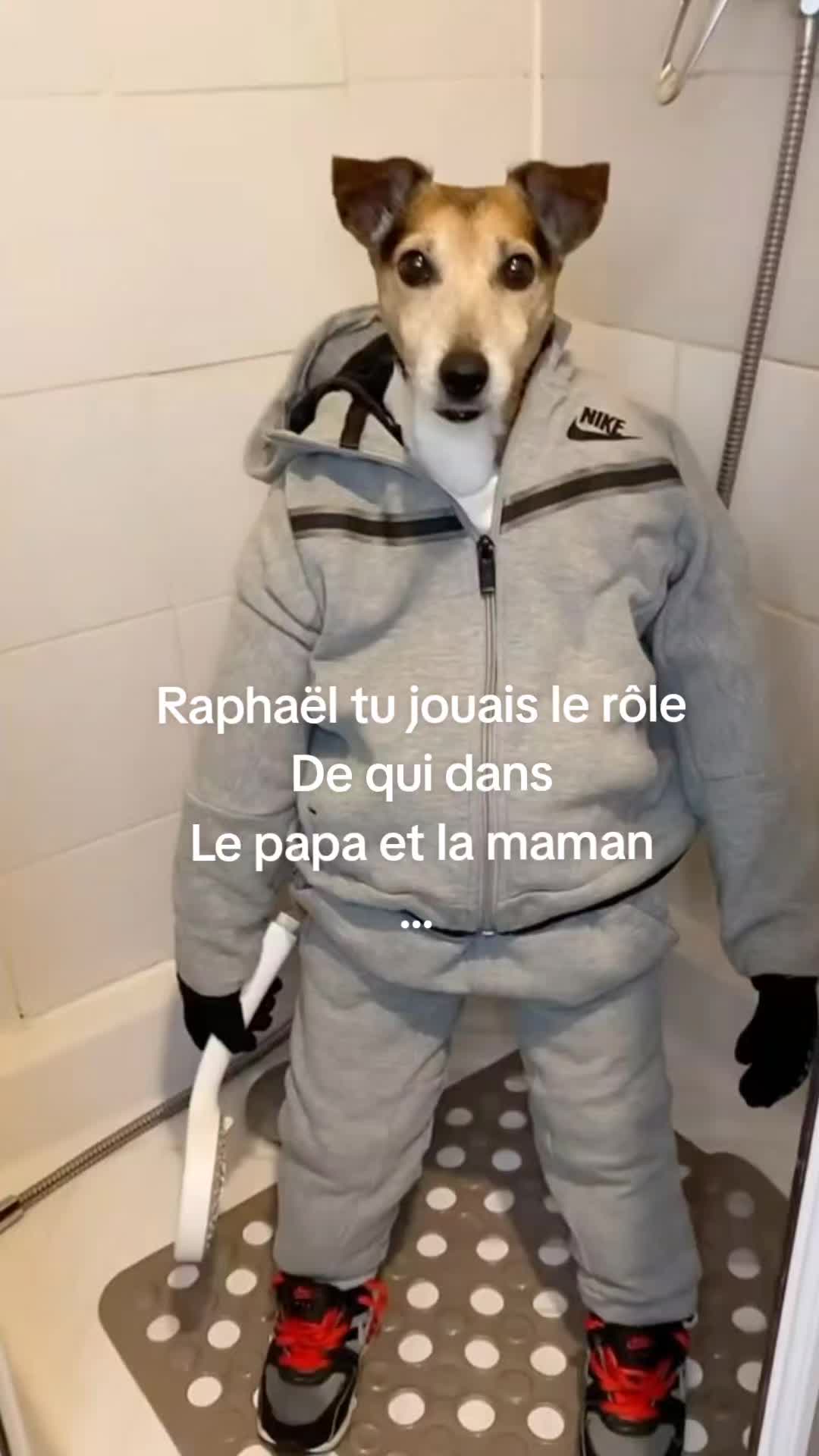 @anti_raphael