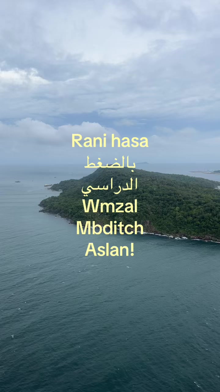 @𝓢𝓪𝓯𝓪 💮