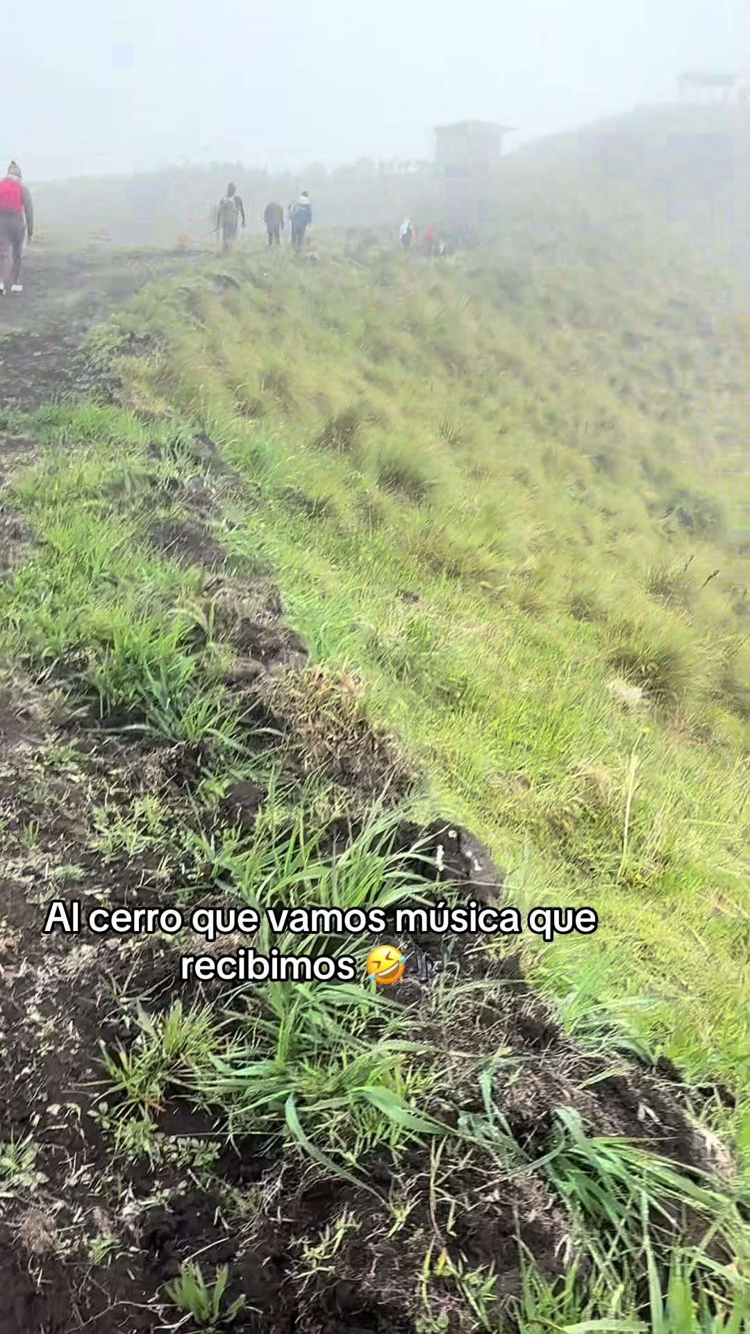 @Maribel Poalacin