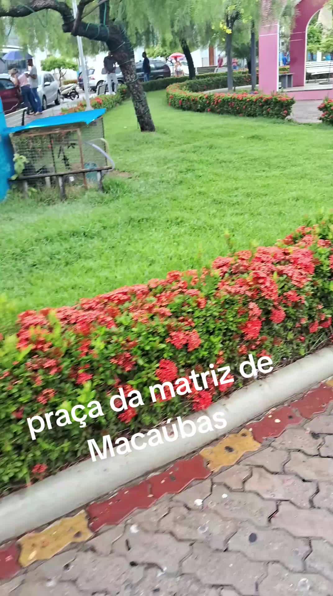 @Mary Santos