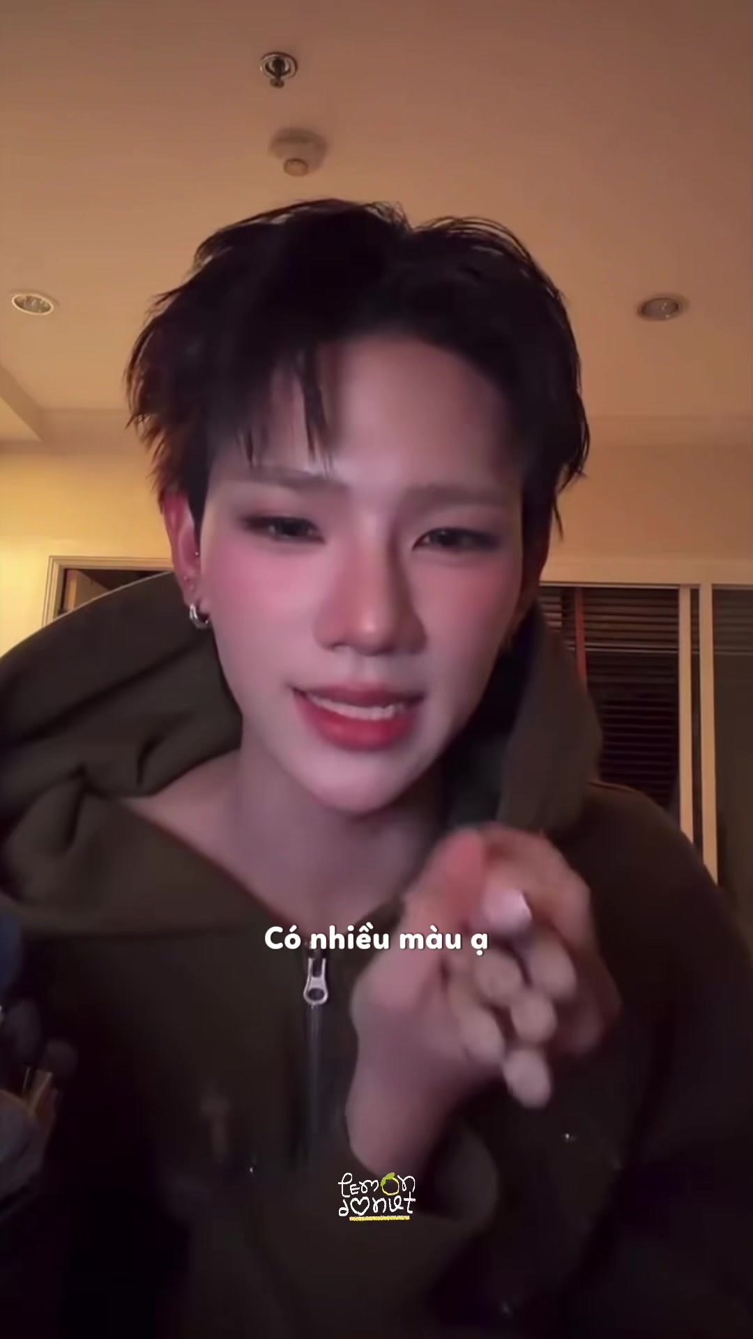 @lem🍋ndonut 🧩🇻🇳🐾ヾ(*'▽'*)
