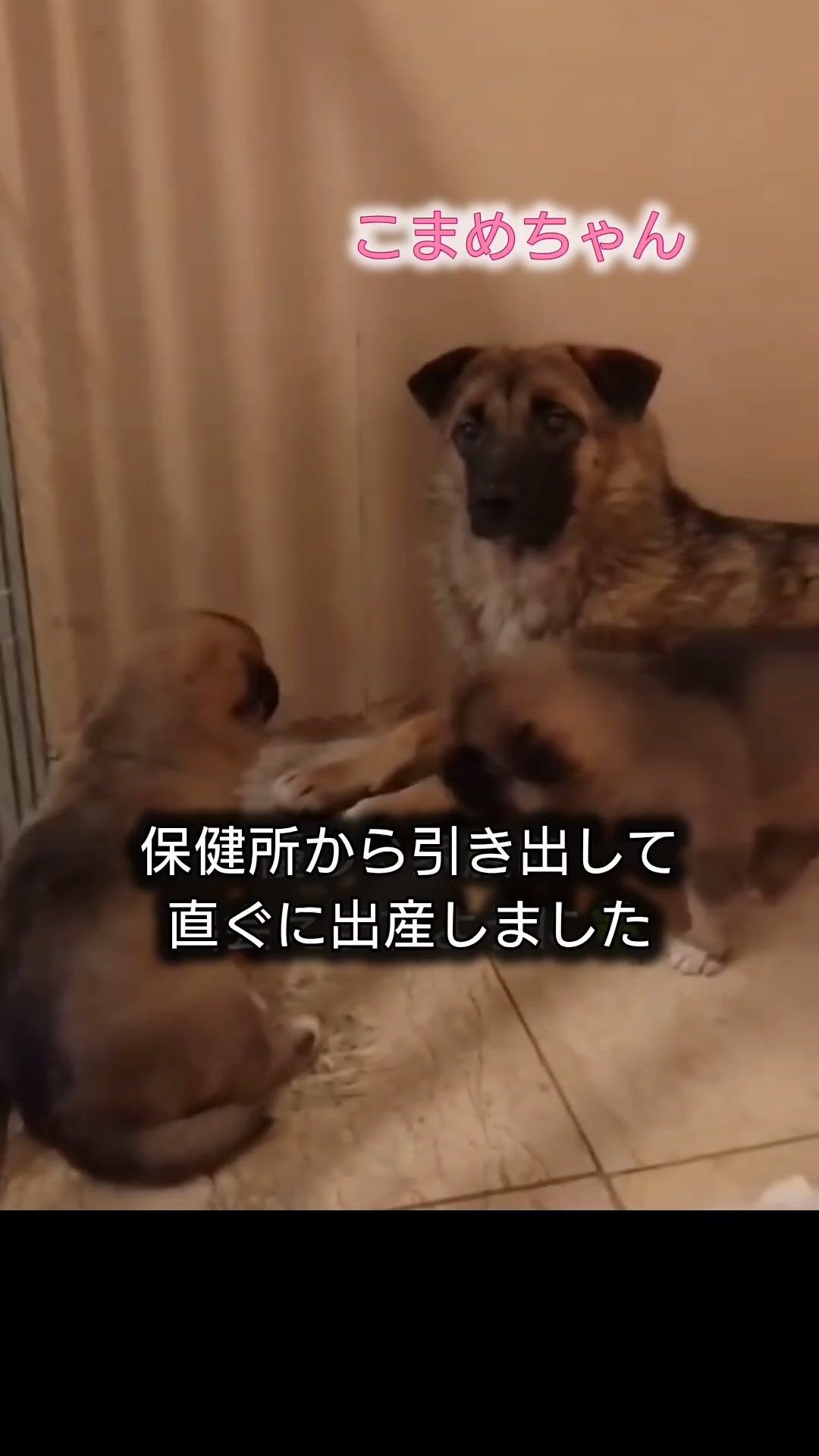 @まあくんハウス