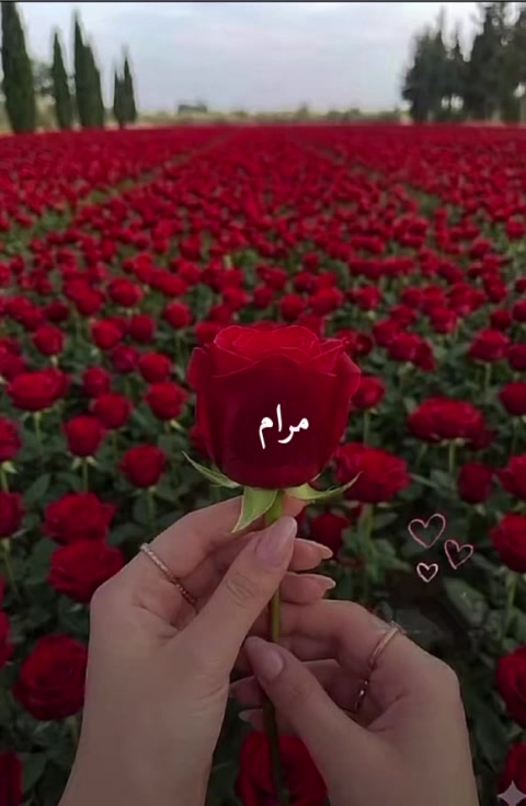 @liowx_