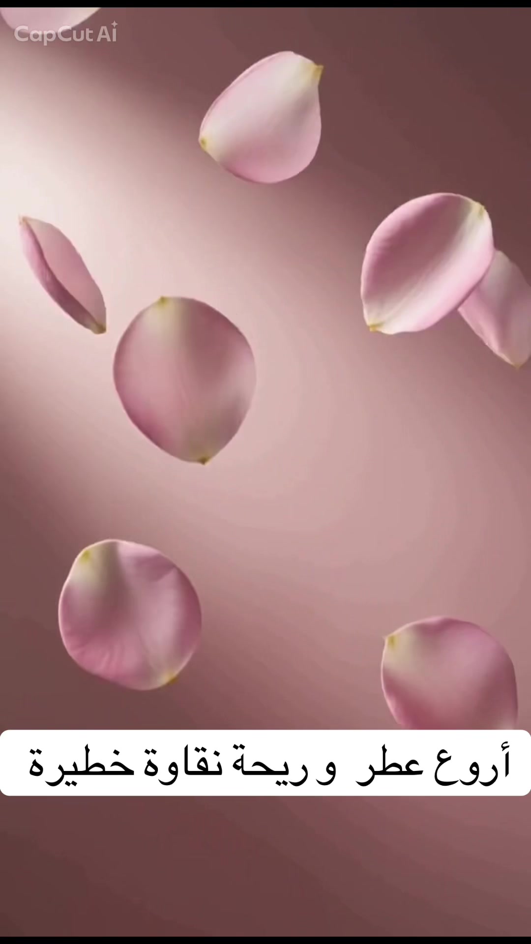 @دنيا الأحلام🫶🏻Dounia🇲🇦
