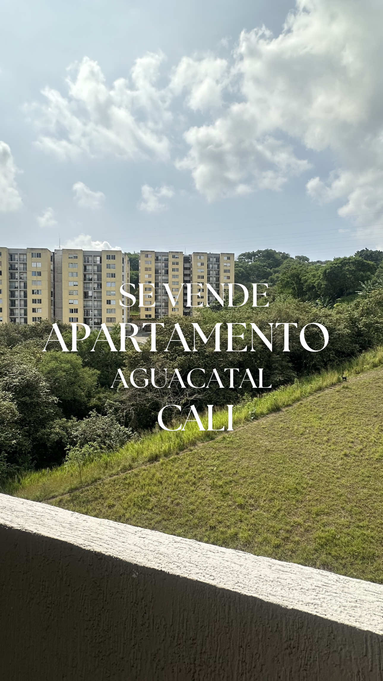 @Carlos D&aacute;vila bienes ra&iacute;ces