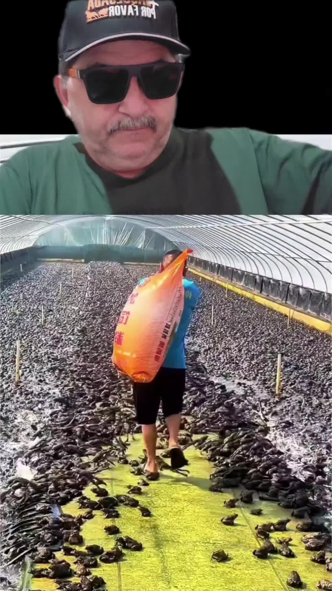 @canal do dia a dia da família