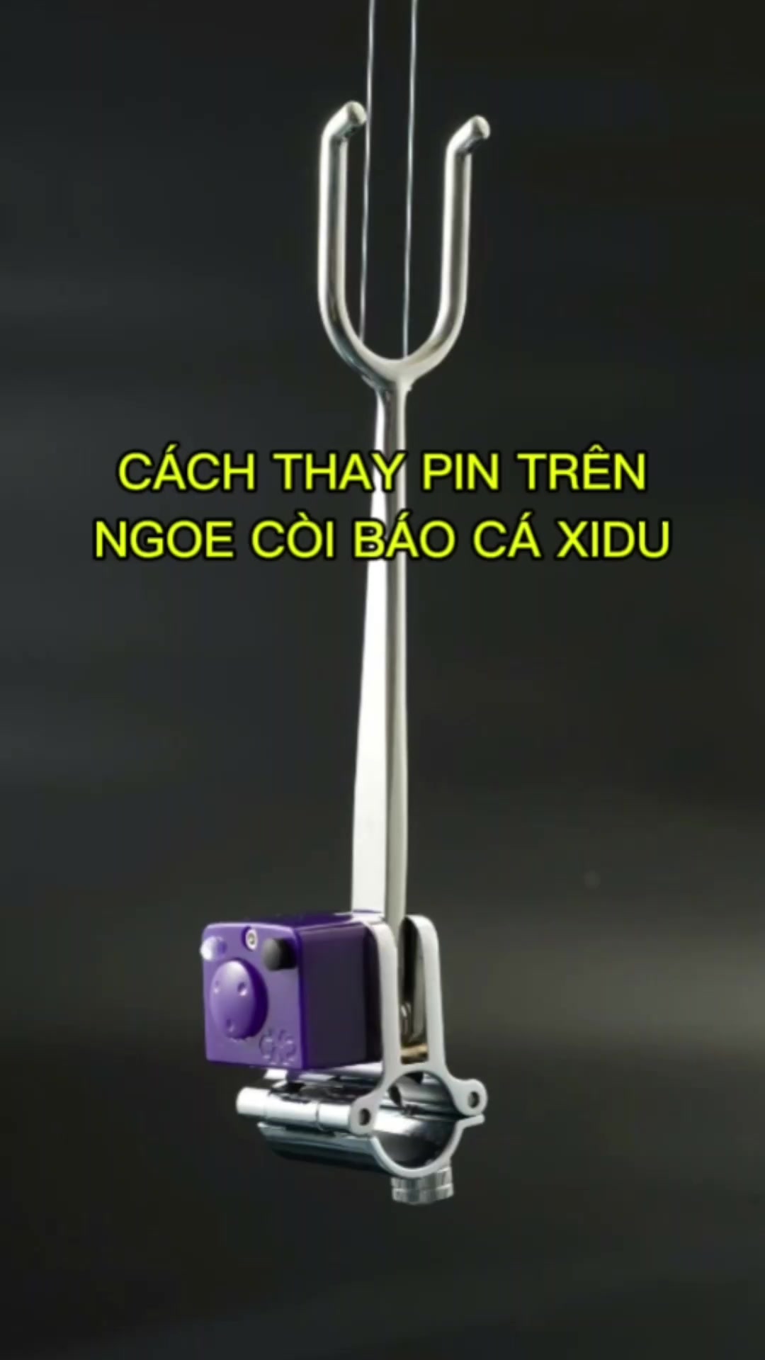 @Docau Hienminh