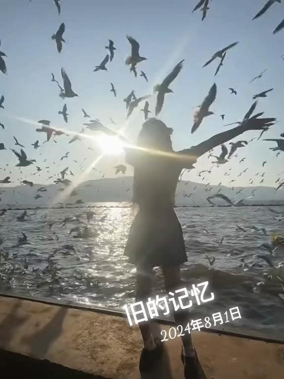 @段光维