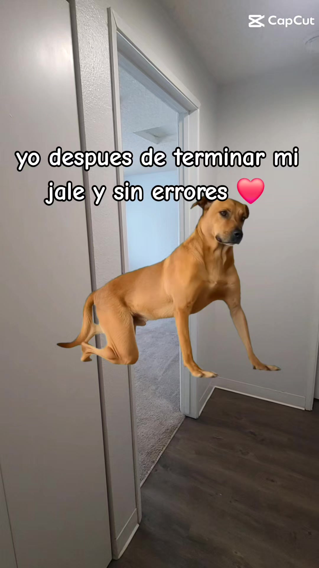 @Oscar H H ✓