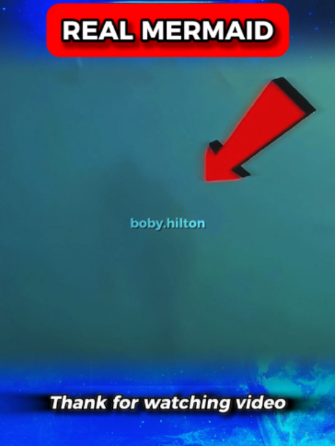@boby.hilton