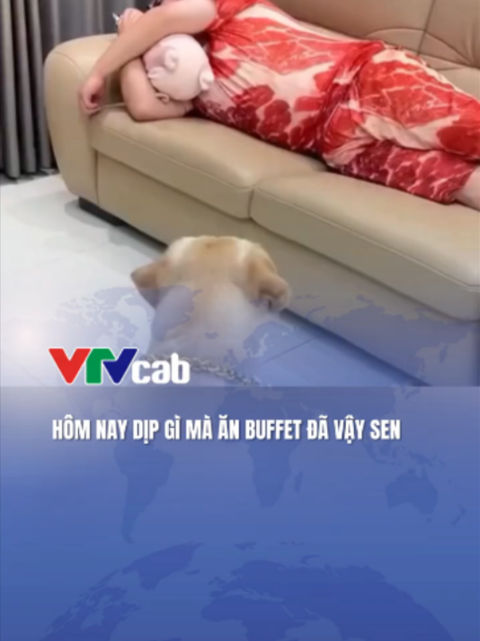 @VTVcab Trending - Giải trí