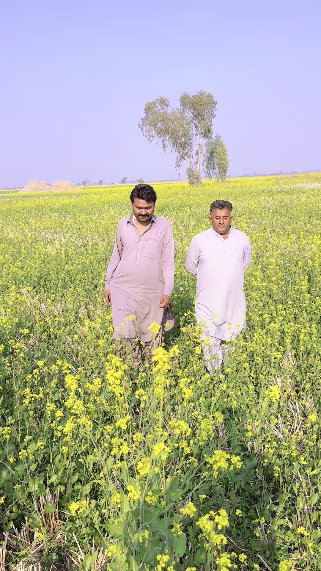 @Ayaz Hussain