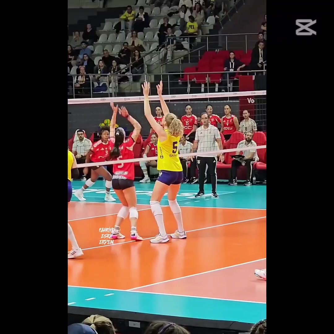 @Voleybol_Prof